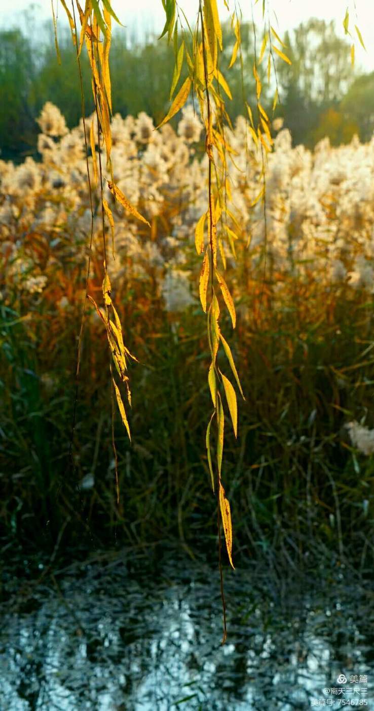玉泉山北坞公园介绍,北坞村玉泉山