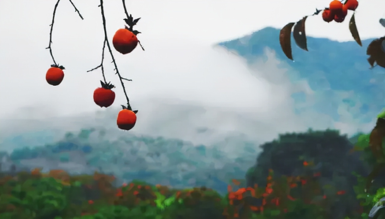 广州从化山野间隐奢桃源民宿，诗意野趣手作做个小木匠丨菁木山舍