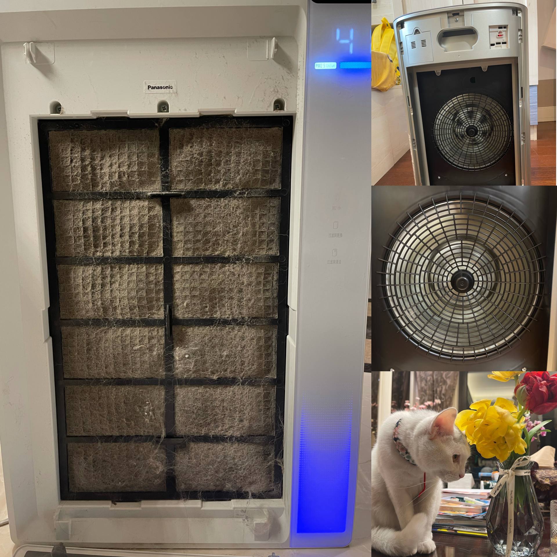 松下值得购买的东西,松下最新款空气净化器