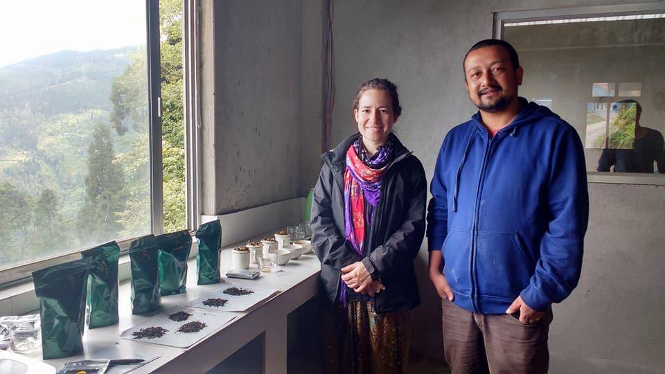 印度疫情加重，顶级茶叶烂在地里没人采，大吉岭茶农损失超2亿