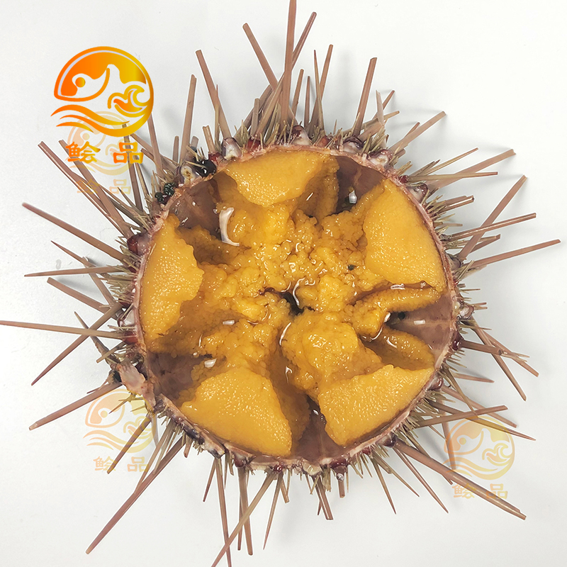 閲嶅ぇ鎻,鐧借壊娴疯儐鑲夎兘鍚冨悧