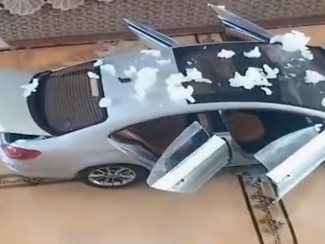 相差14岁的兄妹俩是什么样的体验,相差14岁的姐弟的日常是咋样的