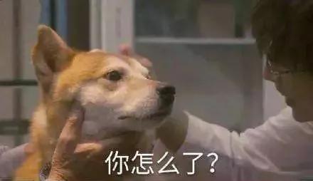 老年人喜欢用什么样的表情包,如何引导中老年人正确使用表情包