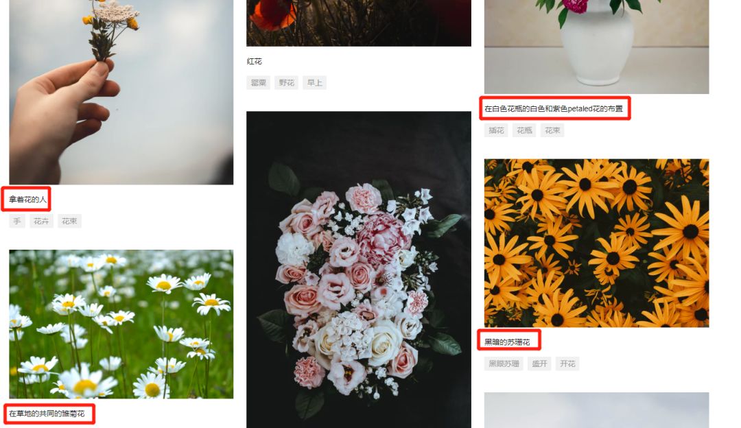 好物分享视频素材网站免费大推荐,25个优质免费可商用图片素材