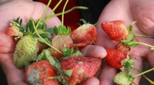 为什么卖助农产品,助农商品可靠吗