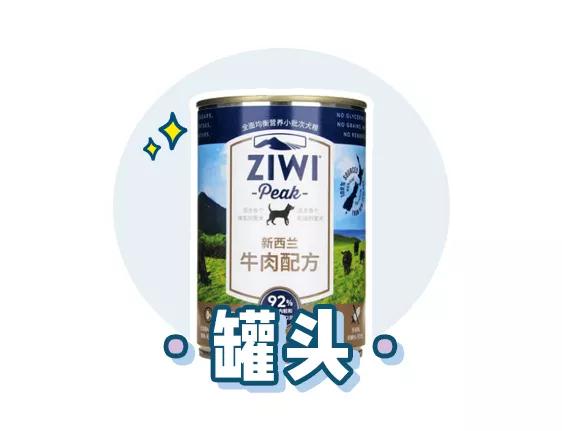 萌新应该养什么便宜宠物狗,萌新怎么入门宠物技能