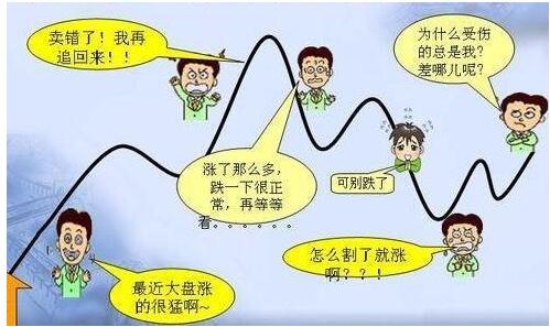 借你一双慧眼用科学看人生,借一双慧眼把你看清楚