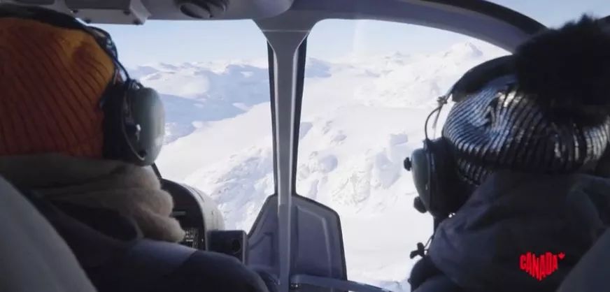 冬季世界冠军,世界冠军的辛酸