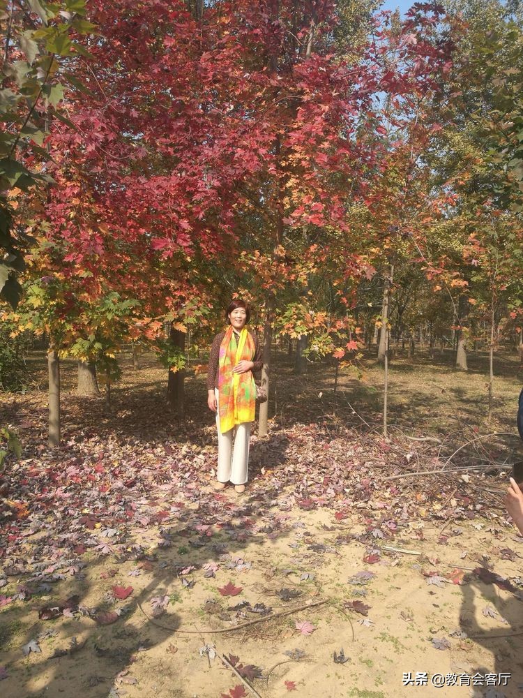 金秋旅游视频模板,国庆郯国古城游玩攻略