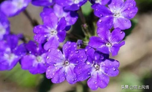 倾情托起未来的蓝天——启迪心智幼儿园的一节课