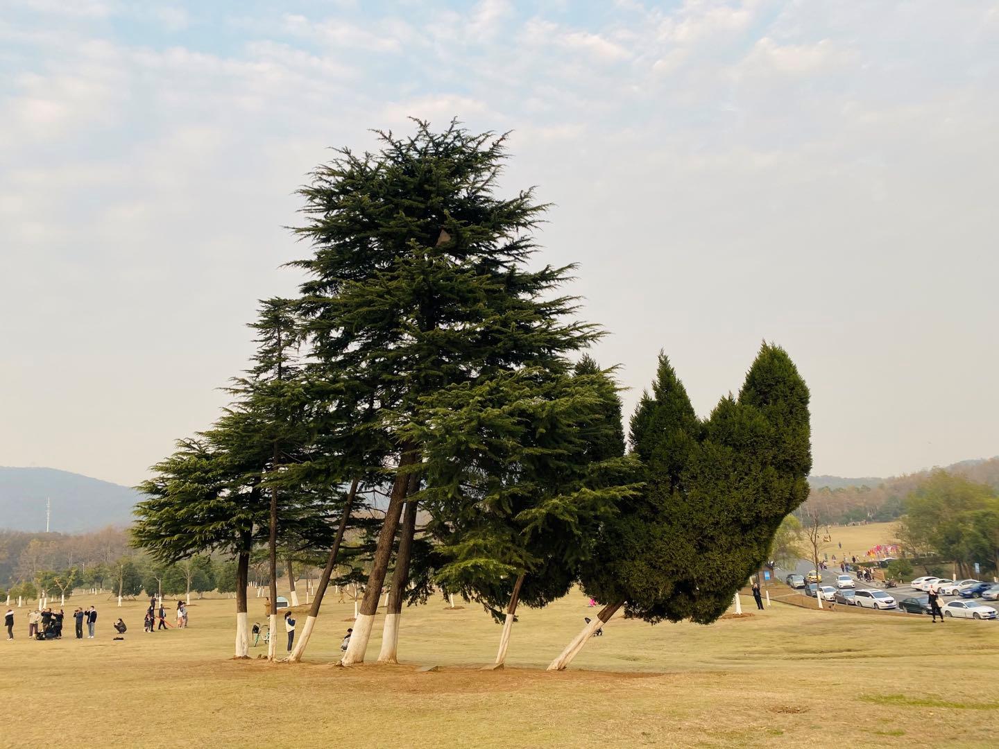 南京可以露营的公园,打卡南京旅游的景点