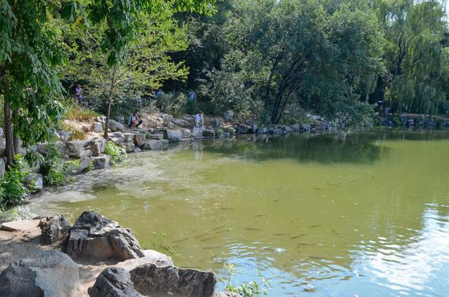 家长带孩子去北大孩子需要预约吗,家长带孩子去北京必去地方