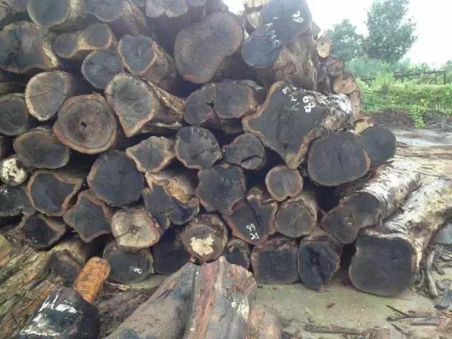 如何避免买到假红木,最不容易造假的红木