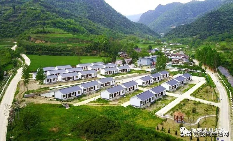 我叫成县，这是我2019年的自拍照