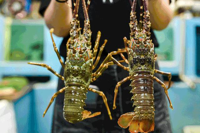 金城大酒店30周年，穿旗袍还有惊喜