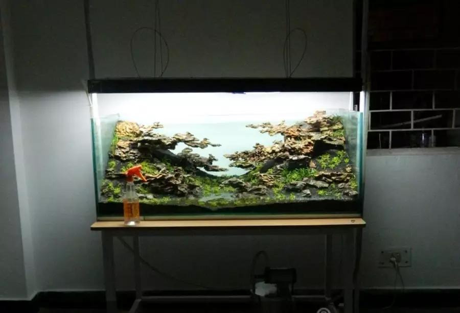 草缸造景教程:胶水造景太温柔,男人就该上电钻