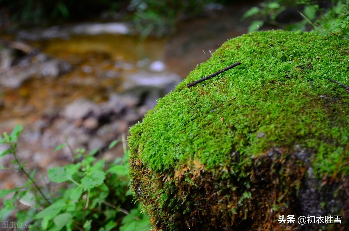 袅袅秋风动凄凄烟雨繁的意思,袅袅秋风动凄凄烟雨繁全诗意思