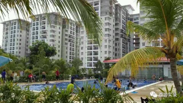 开车去国外自驾游被拒绝,从美国开车去加拿大被拒绝入境