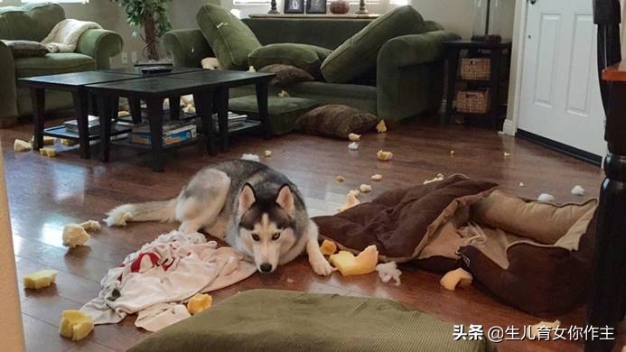 备孕前有染色体异常怎么办,备孕要注意哪些遗传病史