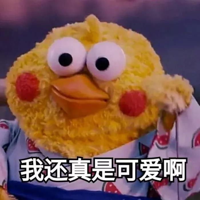 2019女性怎么投保好，对面的女神看过来！