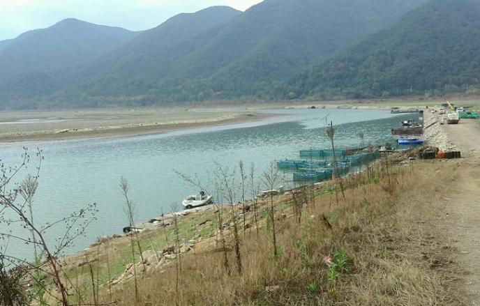 水库网箱养殖经济效益怎么样,综合养鱼怎么经济效益最好