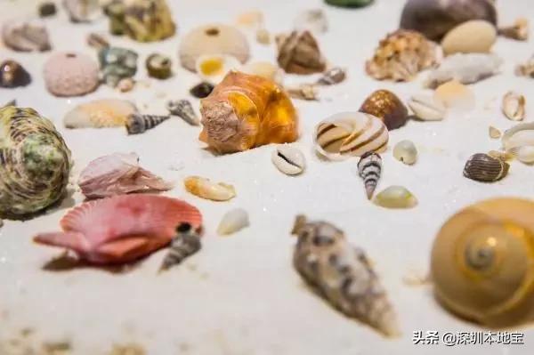 深圳100个免费景点,深圳免费100个景点