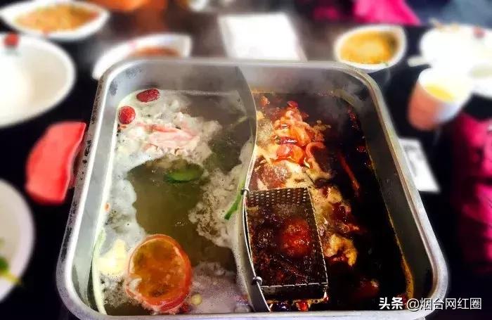 通哥带你吃川菜,通哥美食最新视频