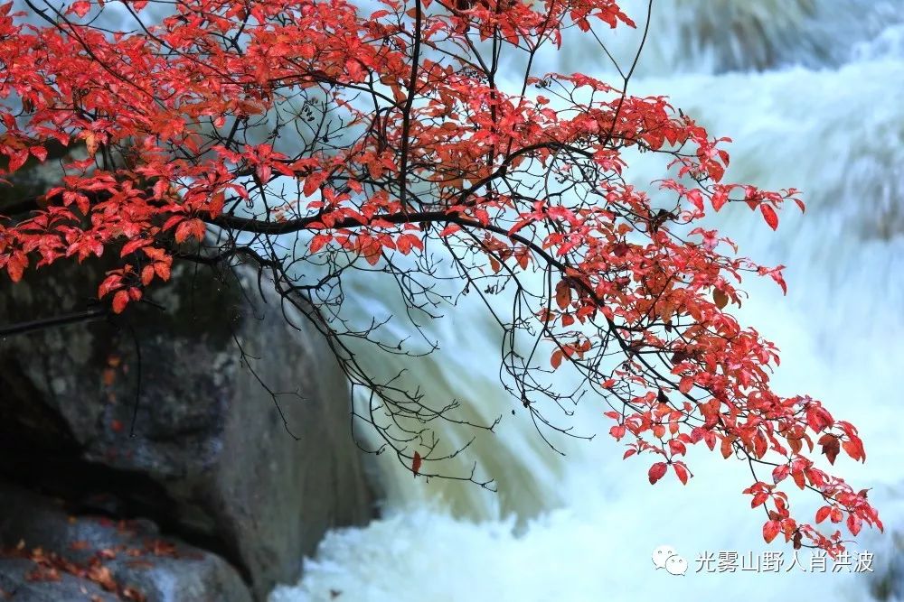 巴中光雾山红叶红,巴中打车去光雾山看红叶