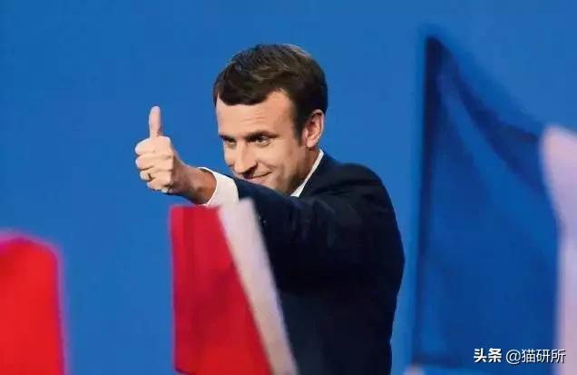 宠物猫植入芯片有什么要注意的,猫咪植入芯片注意事项