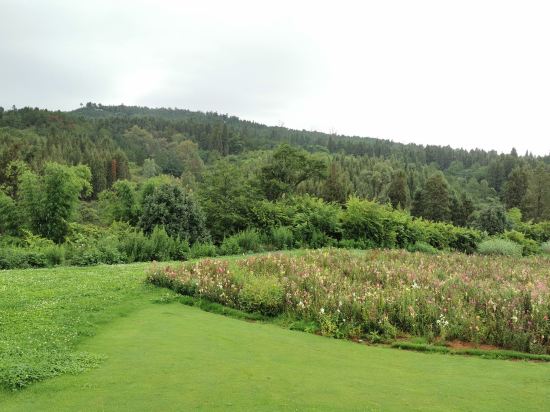 曲靖金麟湾温泉度假酒店别墅,曲靖金麟湾温泉酒店电话