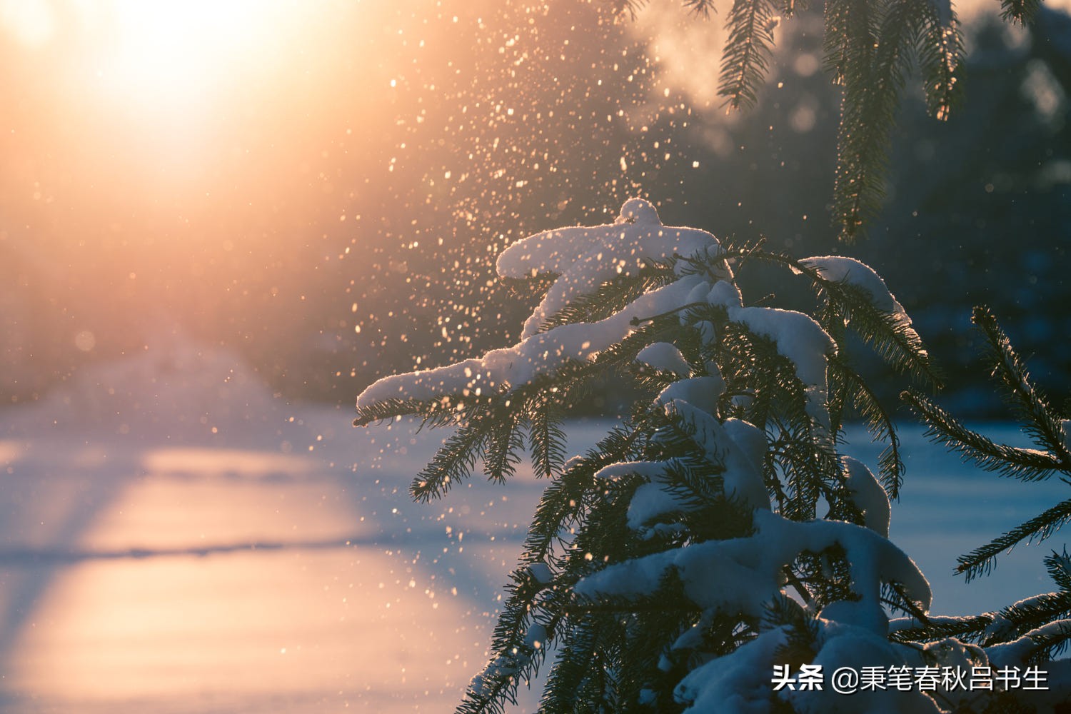关于汉末名士许劭与月旦评的14首诗词