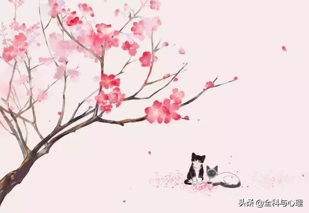 经常用到的百科知识你都知道了吗,百科常识总结大全