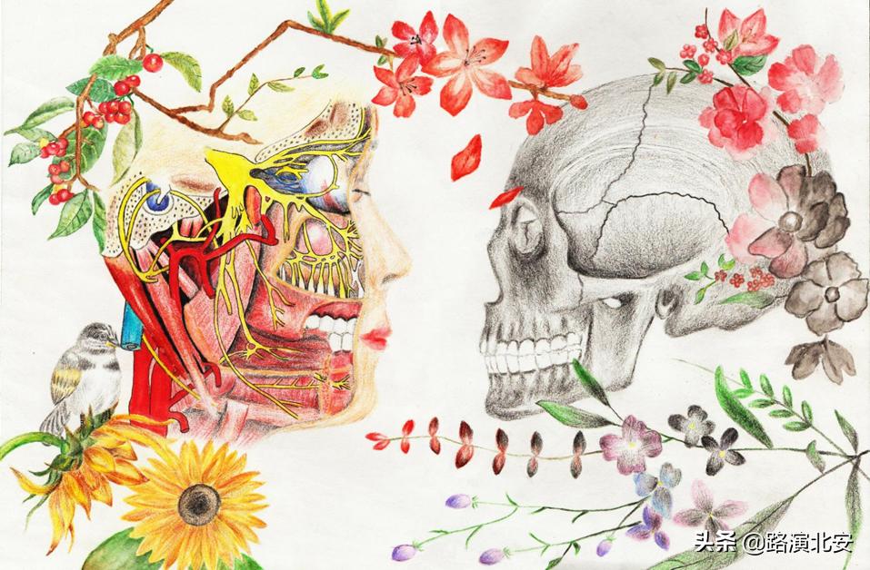 生命的故事绘本视频,生命的故事绘本绘画