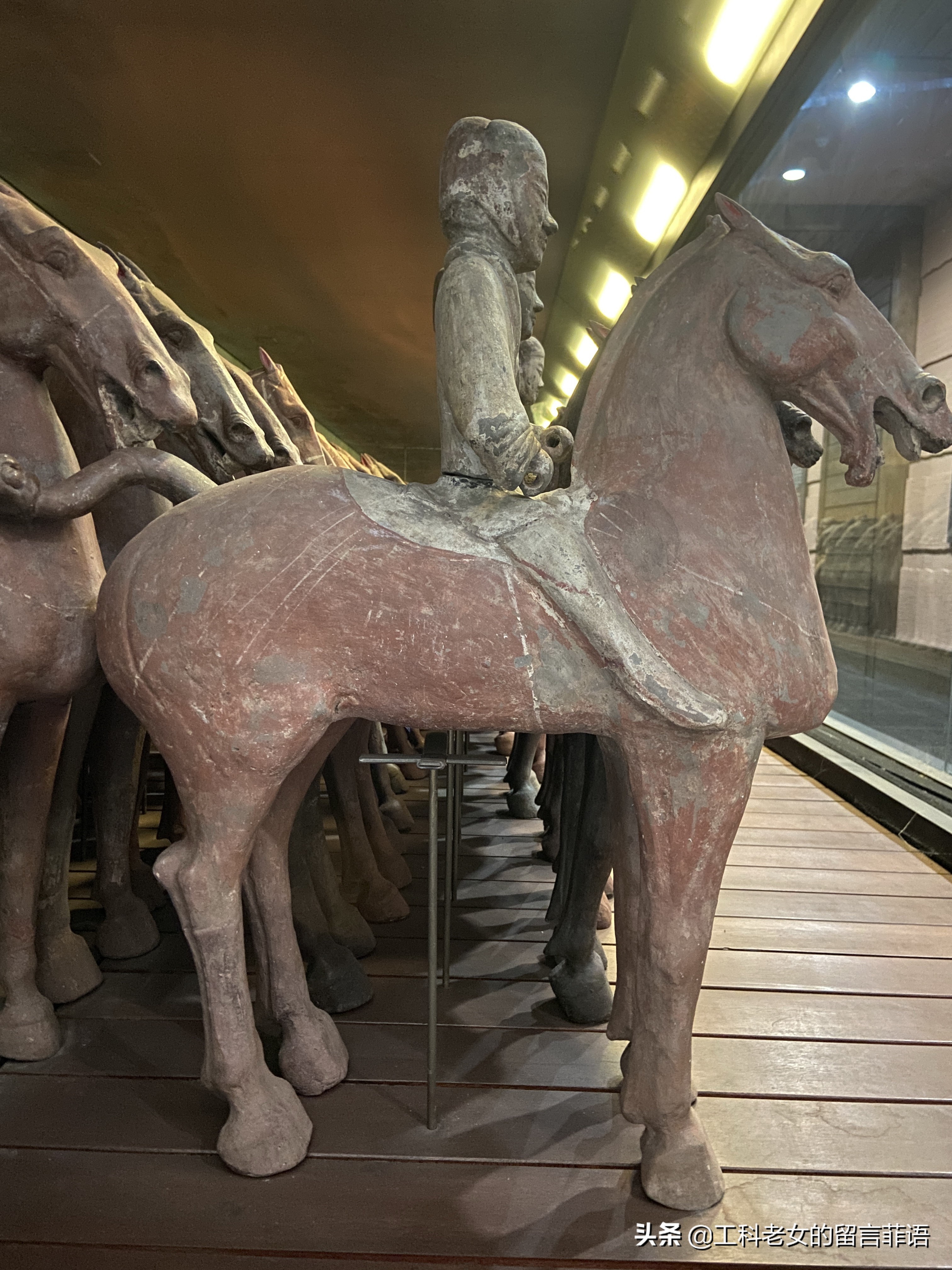 咸阳西汉兵马俑,陕西历史博物馆彩绘胡人骑驼俑