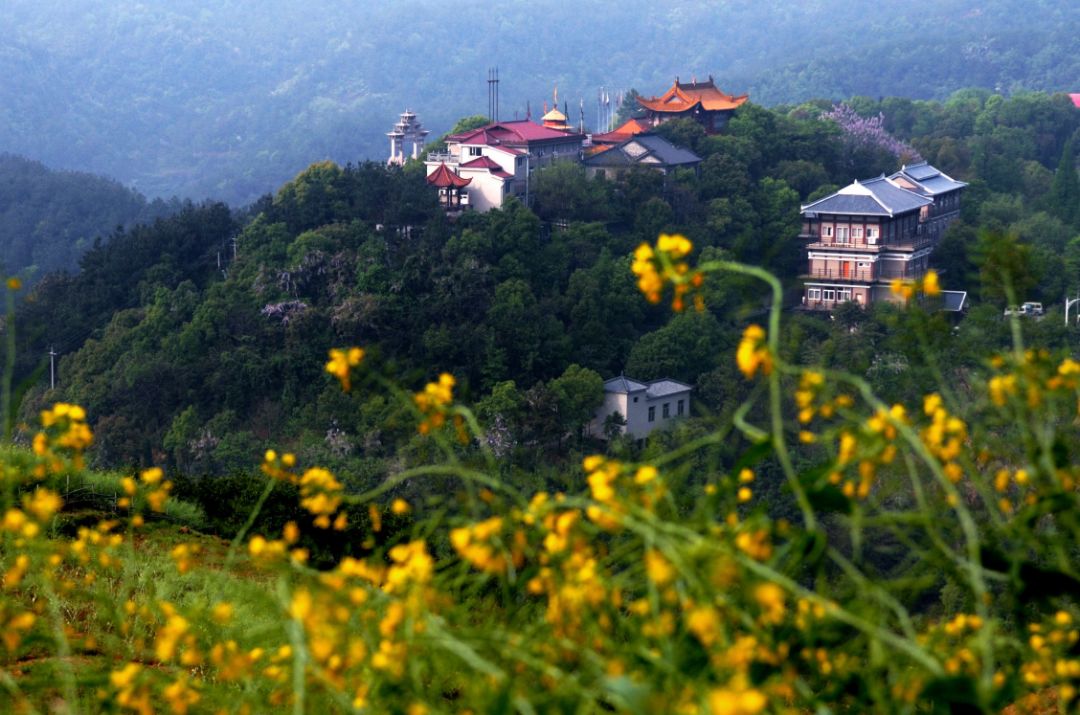 金华十大镇排名,金华十大县排名