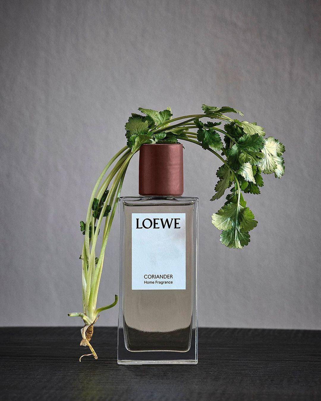 罗意威闻着像飘柔的香水,罗意威是沙龙香吗