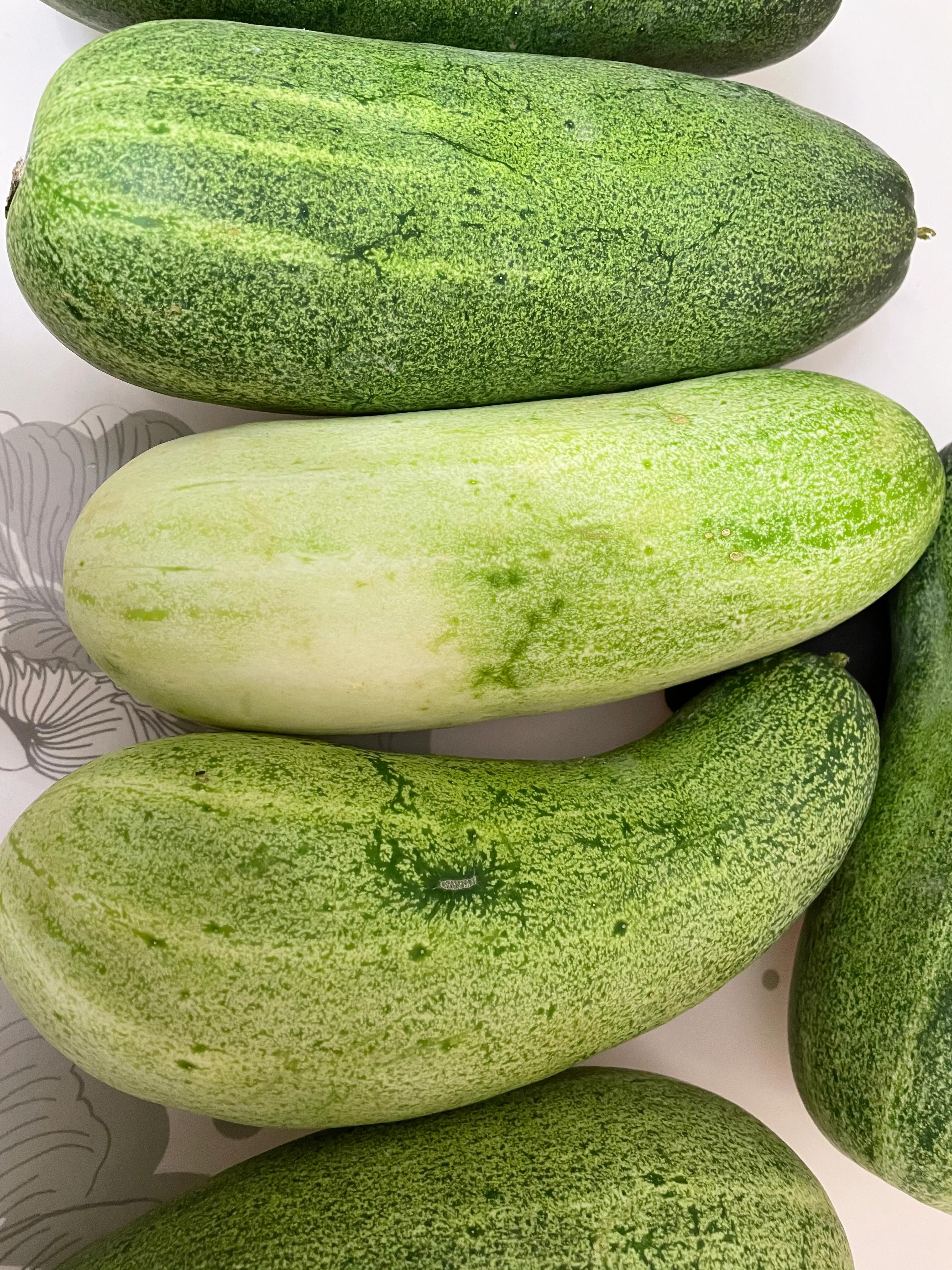 粗犷的黄瓜,坚韧的黄瓜