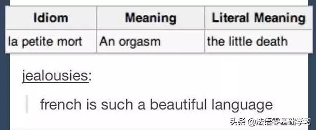 你学的法语竟是世界上最神奇的语言？