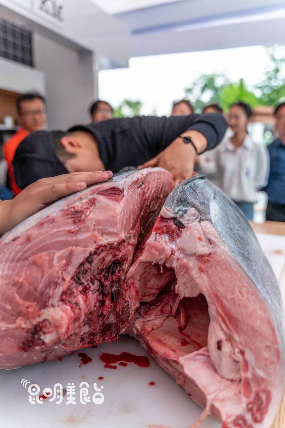 在昆明，第一次见200斤的大鱼，蘸着芥末生吃超爽