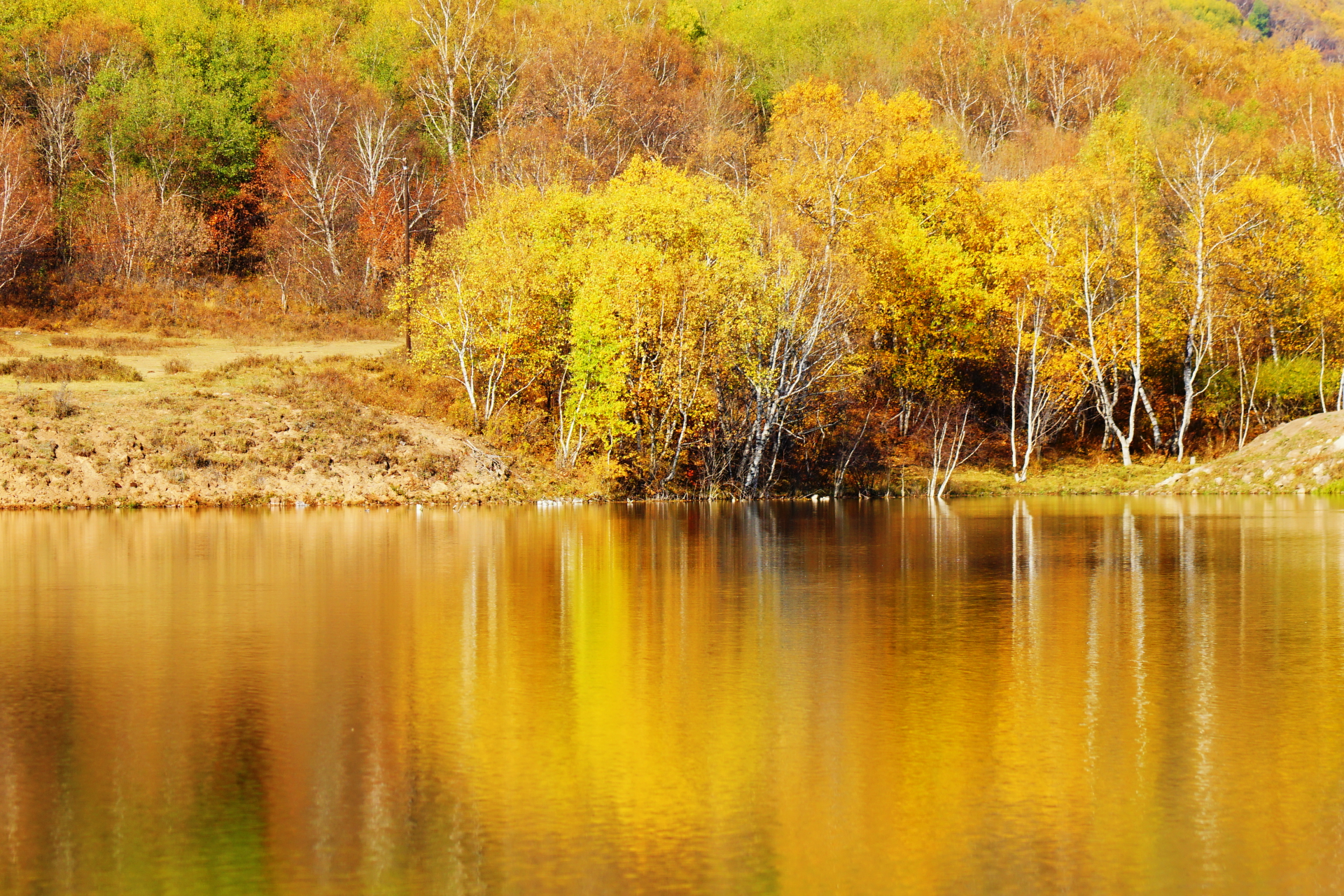京北第一天路千松坝国家森林公园,千松坝森林公园和京北第一天路