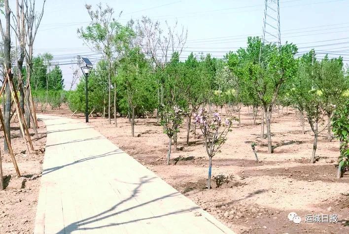 东城体育公园五人制足球场,北相公园