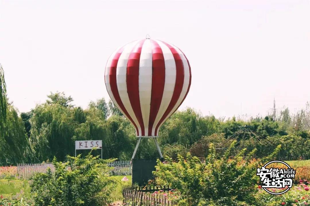 合肥最美的春天景点,合肥春天有哪些好玩的景点