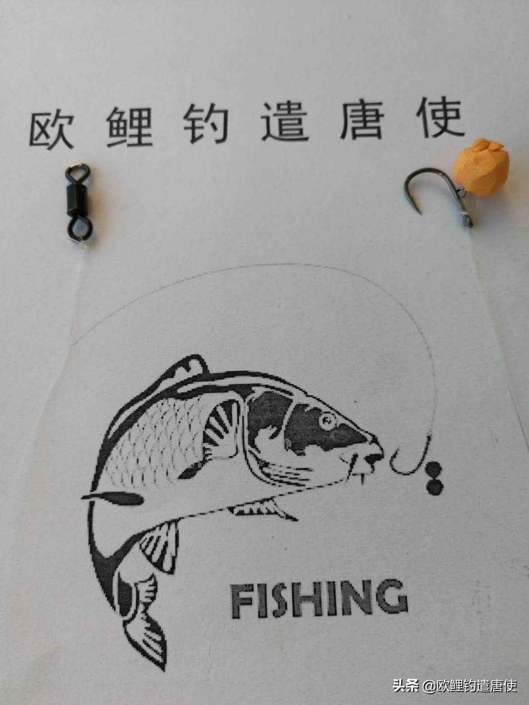 欧鲤钓钓组篇,欧鲤钓组和飞德钓组