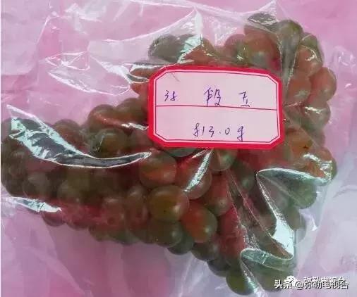 弥勒葡萄价格,弥勒葡萄卖5元一颗
