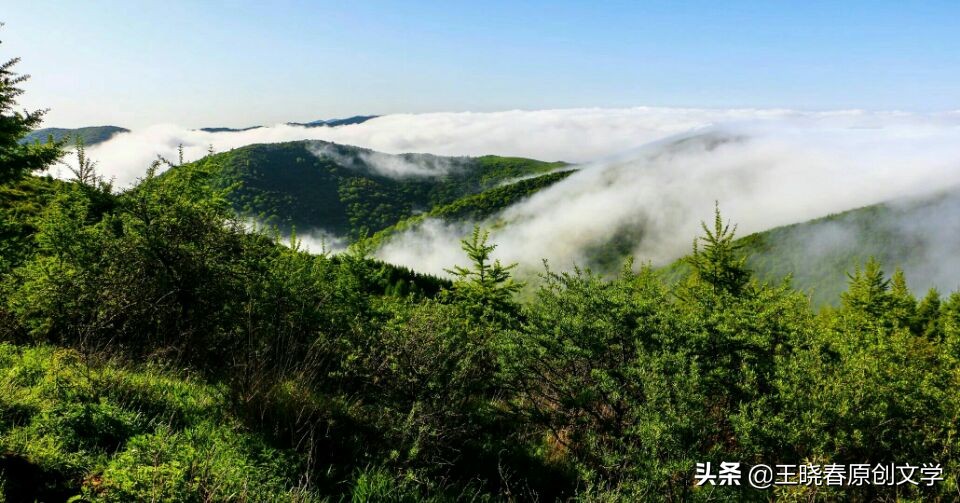 保持初心与美好的歌曲,美好的初心和微笑