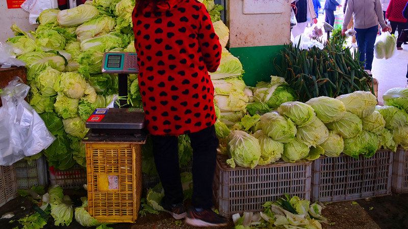 囤菜的建议和方法,北方囤大白菜怎么吃
