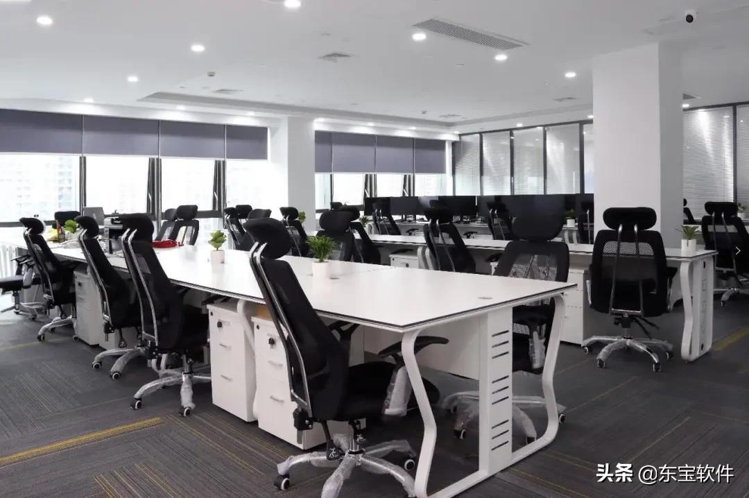 东宝软件核心愿景,东宝软件的发展前景