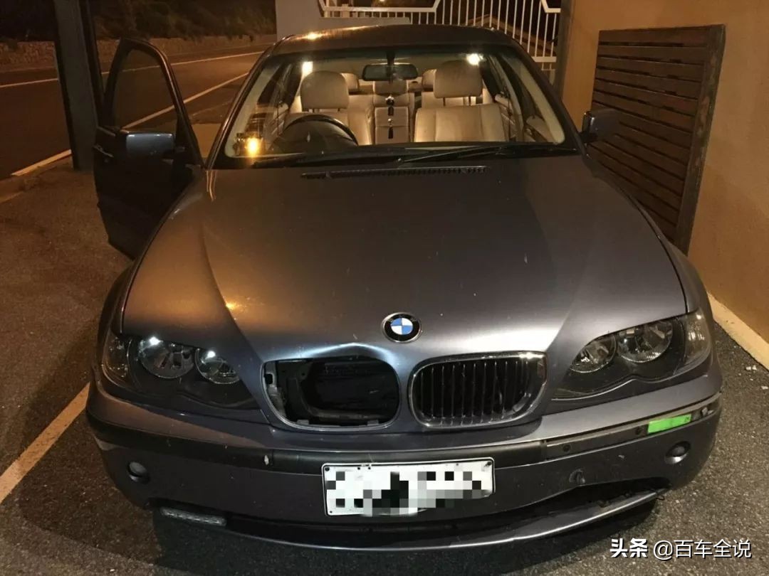 「澳洲系列」你吃过袋鼠吗？我撞过