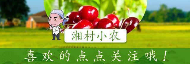 农民工过年回家老板拖欠工资？三种方法帮你处理，一个人都跑不了