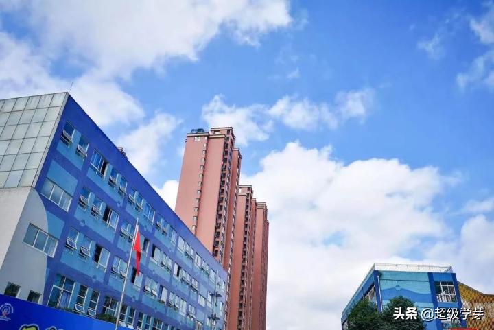 @成都家长，对口全好初中！解密！小升初青羊五区炙手可热的原因